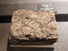 -河姆渡遗址博物馆