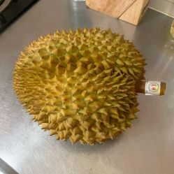 -艺剪堂