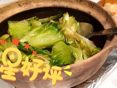 啫啫生菜煲-陶陶居酒家(第十甫路总店)