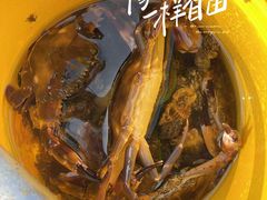 -万尾金滩