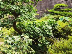 -南山植物园