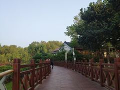 -大亚湾红树林城市湿地公园