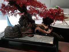 -顺峰(农展馆店)