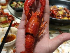-聚味瞿记·龙虾堂(树木岭店)