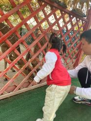 -萌宠亲子动物乐园(槐房万达店)