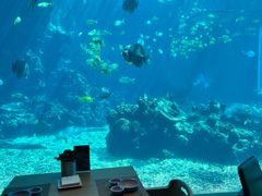-海棠湾洲际-涛·海底餐厅·美人鱼·自助餐·海底隧道