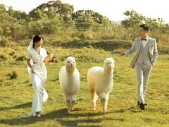 -经典婚纱摄影美学馆·私人定制