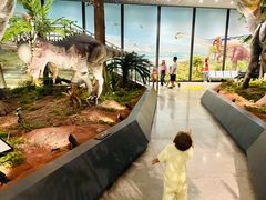 -湖南省地质博物馆