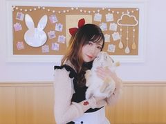 -猫猫幼稚园·撸猫·桌游·电玩