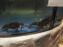 -斯比特花园西餐厅(东方商厦店)