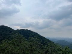 -杭州半山国家森林公园