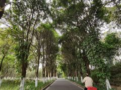 -东莞植物园