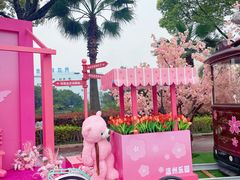 -温州乐园