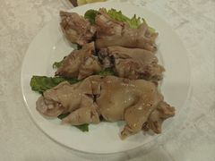 -丁老爷子苏香圆