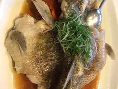 石斑鱼-宝燕海鲜(好爱店)