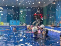 -Swim斯卫姆国际儿童游泳中心(红博中央公园店)