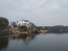 -大塘金香草谷