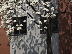 -南京晨光1865创意产业园