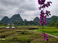 -靖西鹅泉风景区
