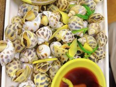 -贞姨美食·老字号海鲜大排档