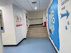 -特一安24小时宠物医院·骨科·中兽医