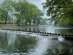 -鹿亭中村