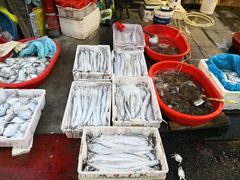 -芦潮港集贸市场