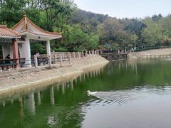 -北岭山森林公园