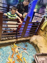 -酷嗒动物文化乐园(cutezoo西溪乐天城店)