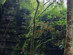 -梭布垭石林景区