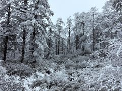 -瓦屋山景区