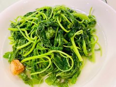 上汤蒜子泡苋菜-利苑酒家(金宝店)