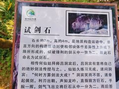 -广州白江湖森林公园