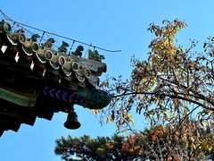 -潭柘寺景区