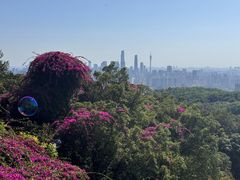 -白云山索道-售票处