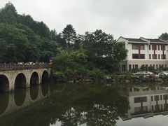 -九华山聚龙大酒店