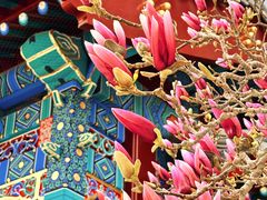 -天津大悲禅院