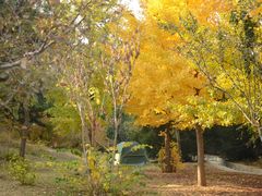 -北京西山国家森林公园