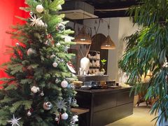 -自由生长植物工作室(深港花卉中心店)