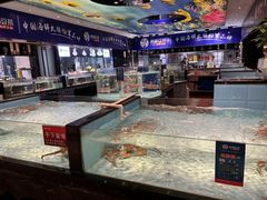 -尚海豆捞(乐虹坊店)