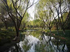 -杭州城北体育公园