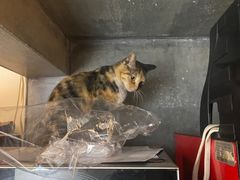 -三生小馆(亭知路店)