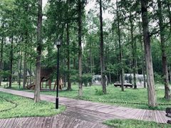 -黄海国家森林公园