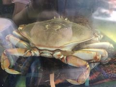 -同乐海鲜(乌节路中央店)