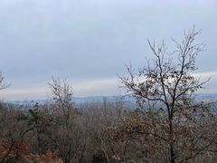-紫金山山顶公园
