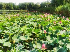 -上海市保健医疗中心