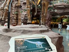 -安徽省地质博物馆