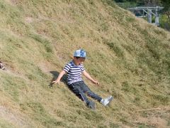 -前小桔亲子创意农场·草莓采摘·露营烧烤