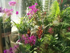 -国家植物园南园