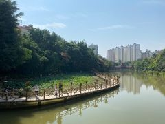 -曼听御花园